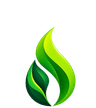 EverGreen Home Care Logo
